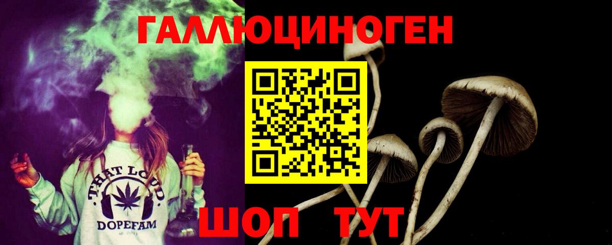 Псилоцибиновые грибы мухоморы  Вход с VPN  Димитровград  Галлюциногенные грибы ЛСД 